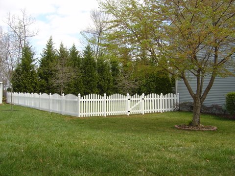 Fences